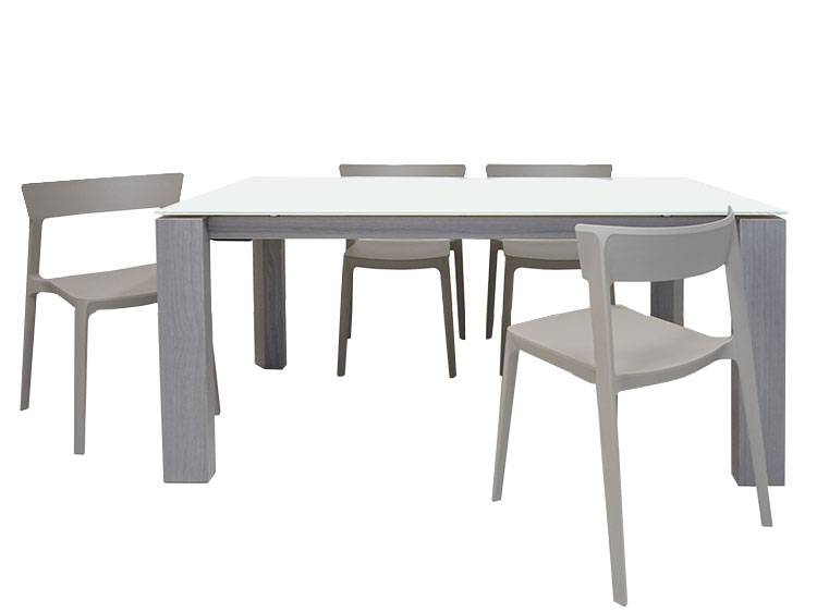 Dining Table with 4 chairs (Used)