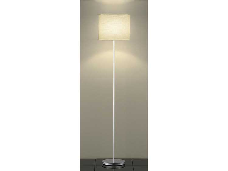 Floor Lamp (Used)