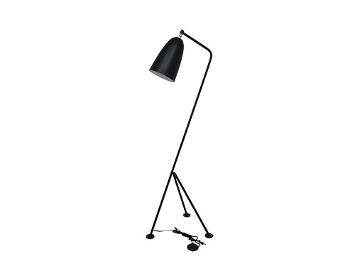 Floor Lamp (Used)