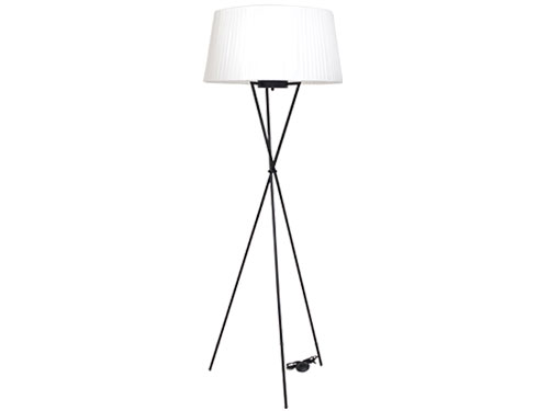 Floor Lamp (Used)