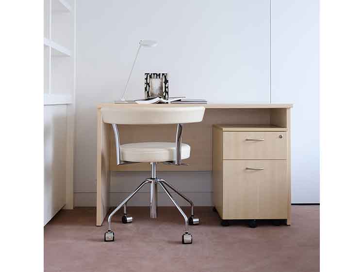 Desk and File Cabinet Set (Used)