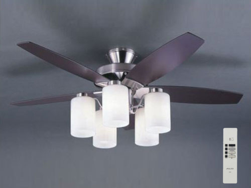 Ceiling Fan Lamp (Used)