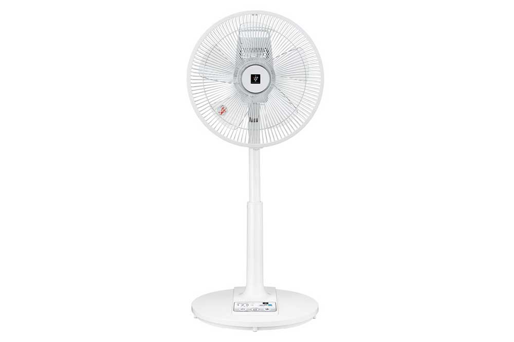 Electric Fan (Used)