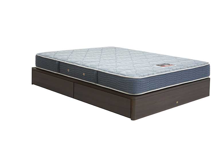 Queen-Size Bed Frame (Used) #2