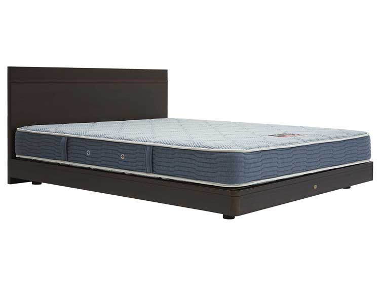 Queen-Size Bed Frame (Used)