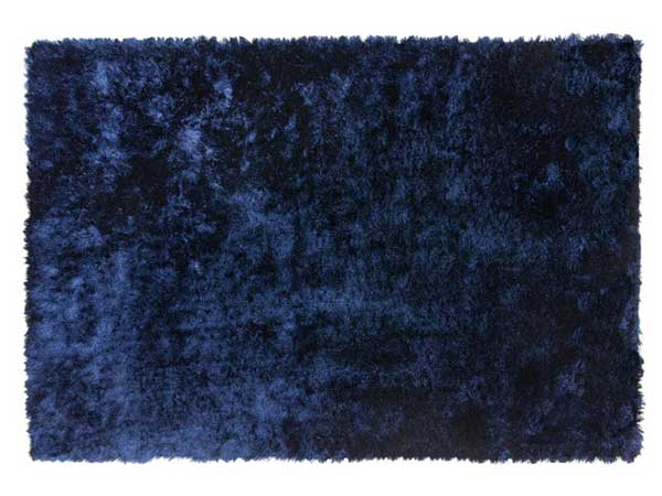 Rug (Used)