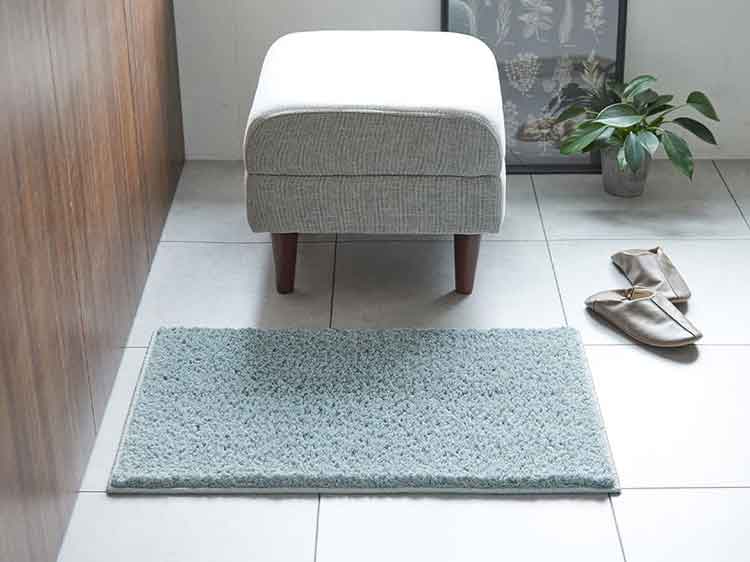 Rug (Used)