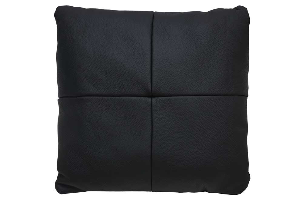 Cushion (New)