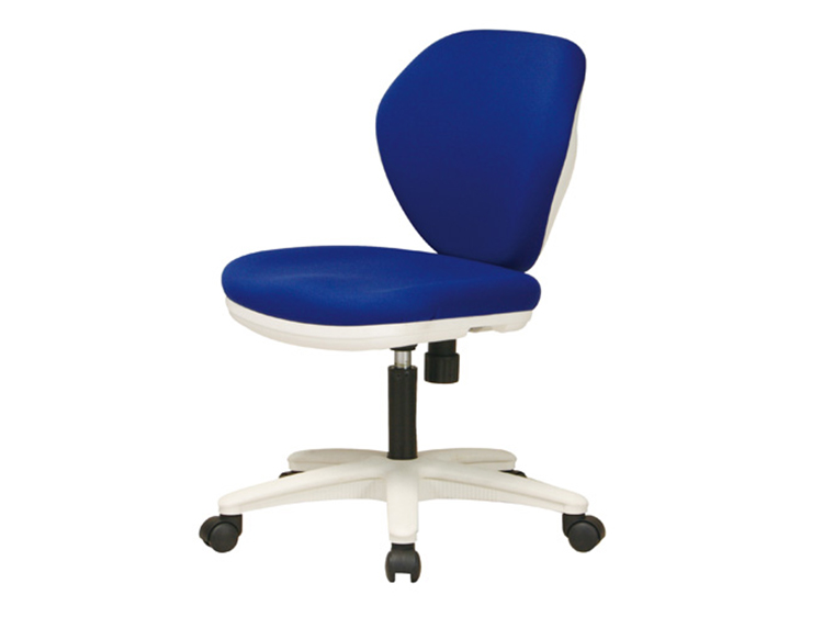 Desk Chair (Used)