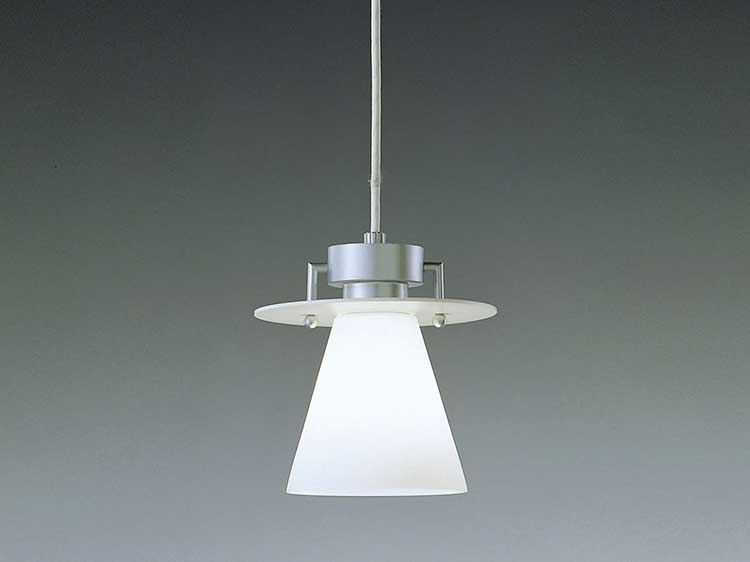 Rail-mounted Pendant lamp (Used)